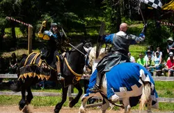 Jousting